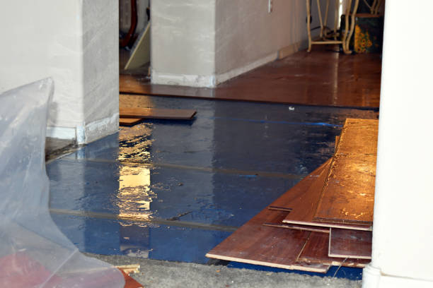 Professional Burst Pipe Cleanup technician working in Marshfield, MA